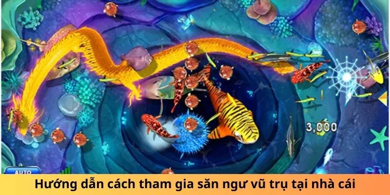 Hướng dẫn cách tham gia săn ngư vũ trụ tại nhà cái
