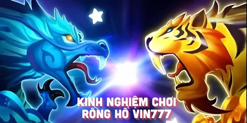 Nguyên do thành viên nhất định nên sử dụng kinh nghiệm chơi rồng hổ